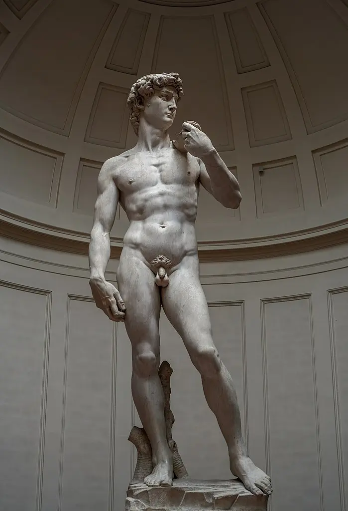Michelangeo - David (1501-1504)