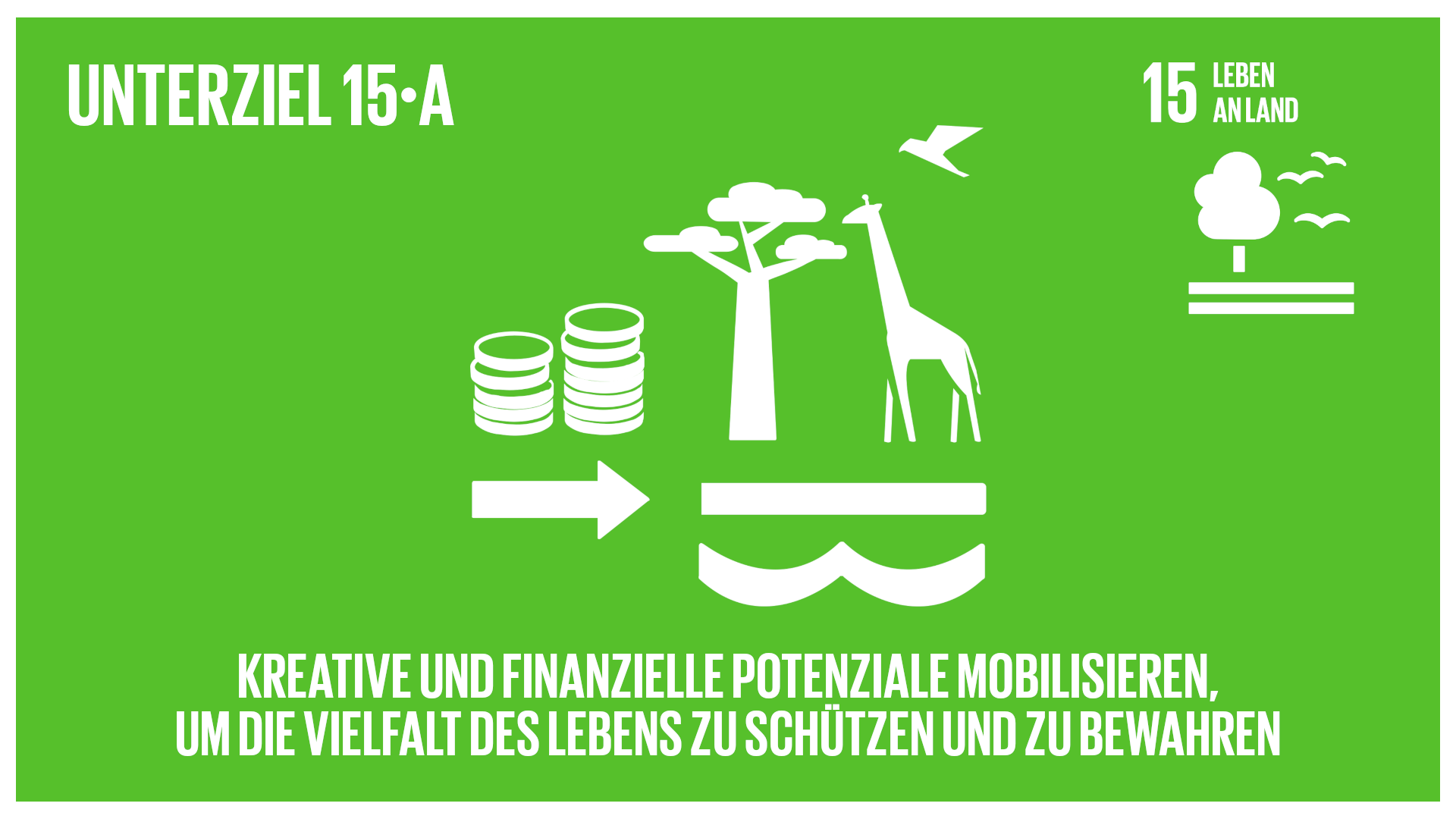 sdg_target_15.a_avc_frame_de_XL